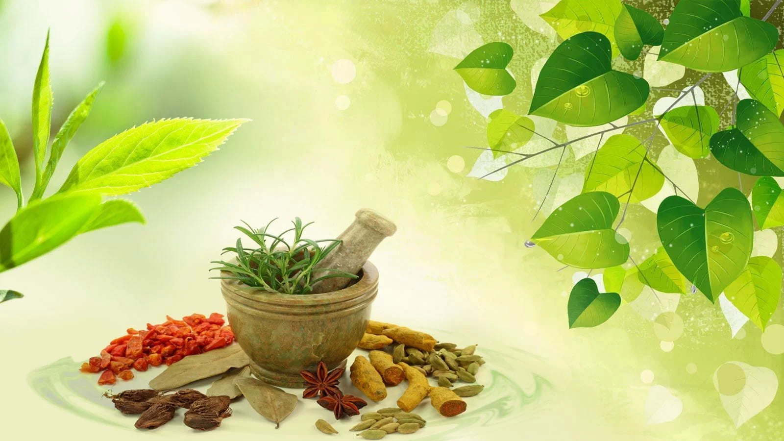 Ayurveda